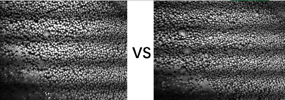 1626405084157711.png 球.png